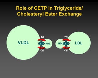 Role of CETP in Triglyceride/
Cholesteryl Ester Exchange
VLDL CETP HDL
TG
CE
LDL
CETP
HDL
TG
CE
 
