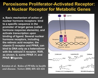 Peroxisome Proliferator-Activated Receptor:
A Nuclear Receptor for Metabolic Genes
a, Basic mechanism of action of
nuclear hormone receptors: bind
to a specific sequence in the
promoter of target genes (called
hormone response elements), and
activate transcription upon
binding of ligand. Several nuclear
hormone receptors, including
the retinoic acid receptor, the
vitamin D receptor and PPAR, can
bind to DNA only as a heterodimer
with the retinoid X receptor, RXR,
as shown. b, some PPAR  and
PPAR ligands.
Kersten et al. Roles of PPARs in health
and disease. Nature 2000; 405: 421-424
 