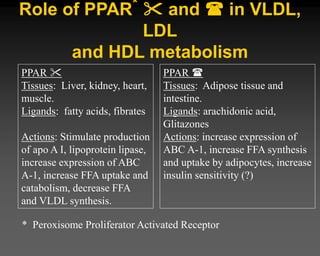 Role of PPAR*  and  in VLDL,
LDL
and HDL metabolism
* Peroxisome Proliferator Activated Receptor
PPAR 
Tissues: Liver, kidney, heart,
muscle.
Ligands: fatty acids, fibrates
Actions: Stimulate production
of apo A I, lipoprotein lipase,
increase expression of ABC
A-1, increase FFA uptake and
catabolism, decrease FFA
and VLDL synthesis.
PPAR 
Tissues: Adipose tissue and
intestine.
Ligands: arachidonic acid,
Glitazones
Actions: increase expression of
ABC A-1, increase FFA synthesis
and uptake by adipocytes, increase
insulin sensitivity (?)
 