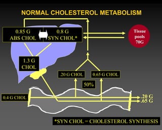 NORMAL CHOLESTEROL METABOLISM
Tissue
pools
70G
.65 G
.20 G
.20 G CHOL 0.65 G CHOL
0.85 G
ABS CHOL
50%
0.4 G CHOL
0.8 G
SYN CHOL*
*SYN CHOL = CHOLESTEROL SYNTHESIS
1.3 G
CHOL
 