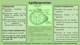 Overview of Lipoprotein Metabolism and Lipid Transport Mechanisms | PPTX