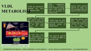 Overview of Lipoprotein Metabolism and Lipid Transport Mechanisms | PPTX
