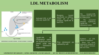 Overview of Lipoprotein Metabolism and Lipid Transport Mechanisms | PPTX