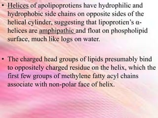 • Helices of apolipoprotiens have hydrophilic and
hydrophobic side chains on opposite sides of the
helical cylinder, suggesting that lipoprotien’s α-
helices are amphipathic and float on phospholipid
surface, much like logs on water.
• The charged head groups of lipids presumably bind
to oppositely charged residue on the helix, which the
first few groups of methylene fatty acyl chains
associate with non-polar face of helix.
 
