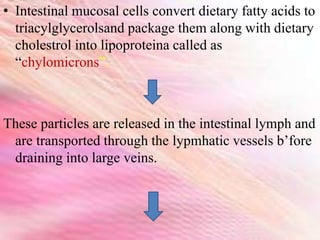• Intestinal mucosal cells convert dietary fatty acids to
triacylglycerolsand package them along with dietary
cholestrol into lipoproteina called as
“chylomicrons”.
These particles are released in the intestinal lymph and
are transported through the lypmhatic vessels b’fore
draining into large veins.
 