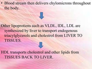 • Blood stream then delivers chylomicrons throughout
the body.
Other lipoprotiens such as VLDL, IDL, LDL are
synthesized by liver to transport endogenous
triacylglycerols and cholestrol from LIVER TO
TISSUES.
HDL transports cholestrol and other lipids from
TISSUES BACK TO LIVER.
 