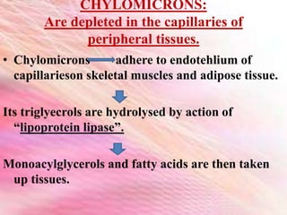 CHYLOMICRONS:
Are depleted in the capillaries of
peripheral tissues.
• Chylomicrons adhere to endotehlium of
capillarieson skeletal muscles and adipose tissue.
Its triglyecrols are hydrolysed by action of
“lipoprotein lipase”.
Monoacylglycerols and fatty acids are then taken
up tissues.
 