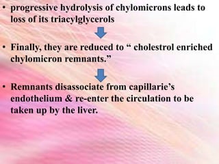 • progressive hydrolysis of chylomicrons leads to
loss of its triacylglycerols
• Finally, they are reduced to “ cholestrol enriched
chylomicron remnants.”
• Remnants disassociate from capillarie’s
endothelium & re-enter the circulation to be
taken up by the liver.
 