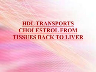 HDL TRANSPORTS
CHOLESTROL FROM
TISSUES BACK TO LIVER
 