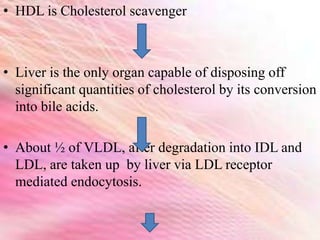 • HDL is Cholesterol scavenger
• Liver is the only organ capable of disposing off
significant quantities of cholesterol by its conversion
into bile acids.
• About ½ of VLDL, after degradation into IDL and
LDL, are taken up by liver via LDL receptor
mediated endocytosis.
 