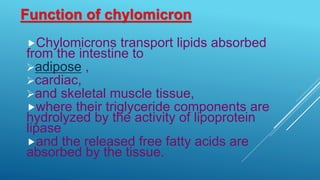 Function of chylomicron
Chylomicrons transport lipids absorbed
from the intestine to
adipose ,
cardiac,
and skeletal muscle tissue,
where their triglyceride components are
hydrolyzed by the activity of lipoprotein
lipase
and the released free fatty acids are
absorbed by the tissue.
 