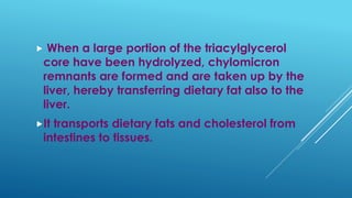 When a large portion of the triacylglycerol
core have been hydrolyzed, chylomicron
remnants are formed and are taken up by the
liver, hereby transferring dietary fat also to the
liver.
It transports dietary fats and cholesterol from
intestines to tissues.
 