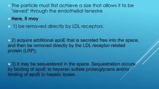 The particle must first achieve a size that allows it to be
"sieved" through the endothelial fenestre
Here, it may
 1) be removed directly by LDL receptors.
2) acquire additional apoE that is secreted free into the space,
and then be removed directly by the LDL receptor-related
protein (LRP);
3) it may be sequestered in the space. Sequestration occurs
by binding of apoE to heparan sulfate proteoglycans and/or
binding of apoB to hepatic lipase.
 