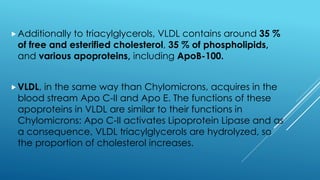 Additionally to triacylglycerols, VLDL contains around 35 %
of free and esterified cholesterol, 35 % of phospholipids,
and various apoproteins, including ApoB-100.
VLDL, in the same way than Chylomicrons, acquires in the
blood stream Apo C-II and Apo E. The functions of these
apoproteins in VLDL are similar to their functions in
Chylomicrons: Apo C-II activates Lipoprotein Lipase and as
a consequence, VLDL triacylglycerols are hydrolyzed, so
the proportion of cholesterol increases.
 