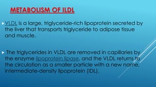 METABOLISM OF ILDL
VLDL is a large, triglyceride-rich lipoprotein secreted by
the liver that transports triglyceride to adipose tissue
and muscle.
 The triglycerides in VLDL are removed in capillaries by
the enzyme lipoprotein lipase, and the VLDL returns to
the circulation as a smaller particle with a new name,
intermediate-density lipoprotein (IDL).
 