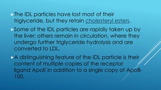 The IDL particles have lost most of their
triglyceride, but they retain cholesteryl esters.
Some of the IDL particles are rapidly taken up by
the liver; others remain in circulation, where they
undergo further triglyceride hydrolysis and are
converted to LDL.
A distinguishing feature of the IDL particle is their
content of multiple copies of the receptor
ligand ApoE in addition to a single copy of ApoB-
100.
 