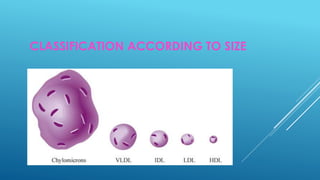 CLASSIFICATION ACCORDING TO SIZE
 