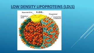 LOW DENSITY LIPOPROTEINS (LDLS)
 