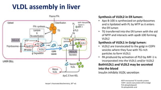 Vldl Assembly Lipoproteins I 19-2-2021_060347.pptbbnrx | PPTX