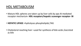 lipoproteins mbbs jsv vs sjvn jsvsb jambs | PPTX