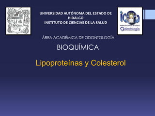 UNIVERSIDAD AUTÓNOMA DEL ESTADO DE
HIDALGO
INSTITUTO DE CIENCIAS DE LA SALUD
ÁREA ACADÉMICA DE ODONTOLOGÍA
BIOQUÍMICA
Lipoproteínas y Colesterol
 