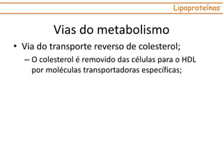 • Via do transporte reverso de colesterol;
– O colesterol é removido das células para o HDL
por moléculas transportadoras específicas;
Lipoproteínas
Vias do metabolismo
 