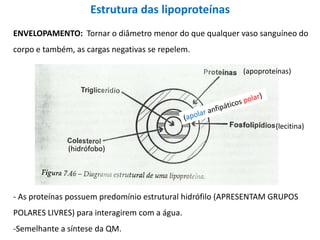 Estrutura das lipoproteínas
(apoproteínas)
(hidrófobo)
(lecitina)
- As proteínas possuem predomínio estrutural hidrófilo (APRESENTAM GRUPOS
POLARES LIVRES) para interagirem com a água.
-Semelhante a síntese da QM.
ENVELOPAMENTO: Tornar o diâmetro menor do que qualquer vaso sanguíneo do
corpo e também, as cargas negativas se repelem.
 