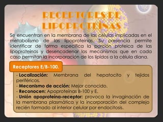 Se encuentran en la membrana de las células implicadas en el
metabolismo de las lipoproteínas. Su presencia permite
identificar de forma especifica la porción proteica de las
lipoproteínas y desencadenar los mecanismos que en cada
caso permitan la incorporación de los lípidos a la célula diana.

 Receptores E/B-100.
  - Localización: Membrana del hepatocito y tejidos
  periféricos.
  - Mecanismo de acción: Mejor conocido.
  - Reconocen: Apoproteínas B-100 y E.
  - Unión apoproteína-receptor: provoca la invaginación de
  la membrana plasmática y la incorporación del complejo
  recién formado al interior celular por endocitosis.
 