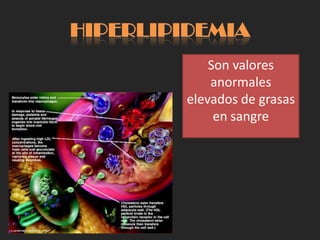 HIPERLIPIDEMIA
             Son valores
             anormales
         elevados de grasas
              en sangre
 