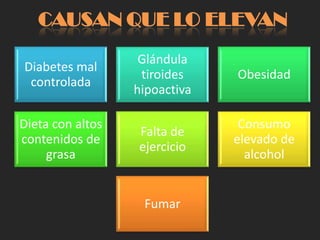 CAUSAN QUE LO ELEVAN
                   Glándula
Diabetes mal
                   tiroides    Obesidad
 controlada
                  hipoactiva

Dieta con altos                 Consumo
                  Falta de
contenidos de                  elevado de
                  ejercicio
     grasa                       alcohol


                   Fumar
 