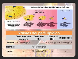 Valores del perfil lipídico
         Colesterol total    Colesterol     Colesterol
                                                       Trigliceridos
            en suero           HDH            LDH
Normal    < 200 mg/dl            -          < 100 mg/dl < 150 mg/dl
Hombre          -           40 - 50 mg/dl        -           -
Mujer           -           50 - 60 mg/dl        -           -
 