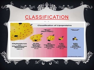 CLASSIFICATION
 