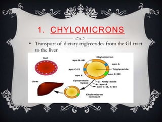 1. CHYLOMICRONS
• Transport of dietary triglycerides from the GI tract
to the liver
 