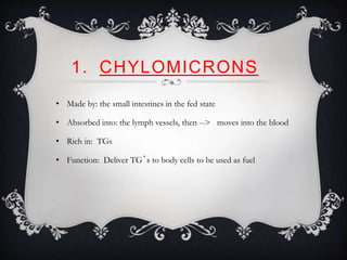 1. CHYLOMICRONS
• Made by: the small intestines in the fed state
• Absorbed into: the lymph vessels, then --> moves into the blood
• Rich in: TGs
• Function: Deliver TG’s to body cells to be used as fuel
 