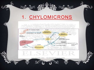 1. CHYLOMICRONS
 