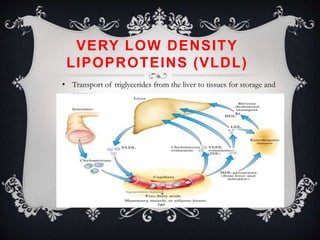 VERY LOW DENSITY
LIPOPROTEINS (VLDL)
• Transport of triglycerides from the liver to tissues for storage and
energy
 