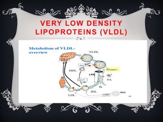 VERY LOW DENSITY
LIPOPROTEINS (VLDL)
 