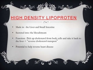 HIGH DENSITY LIPOPROTEN
• Made in: the Liver and Small Intestine
• Secreted into: the bloodstream
• Function: Pick up cholesterol from body cells and take it back to
the liver = “reverse cholesterol transport”
• Potential to help reverse heart disease
 
