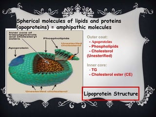 Lipoprotein Structure
Spherical molecules of lipids and proteins
(apoproteins) = amphipathic molecules
Outer coat:
- Apoproteins
- Phospholipids
- Cholesterol
(Unesterified)
Inner core:
- TG
- Cholesterol ester (CE)
 