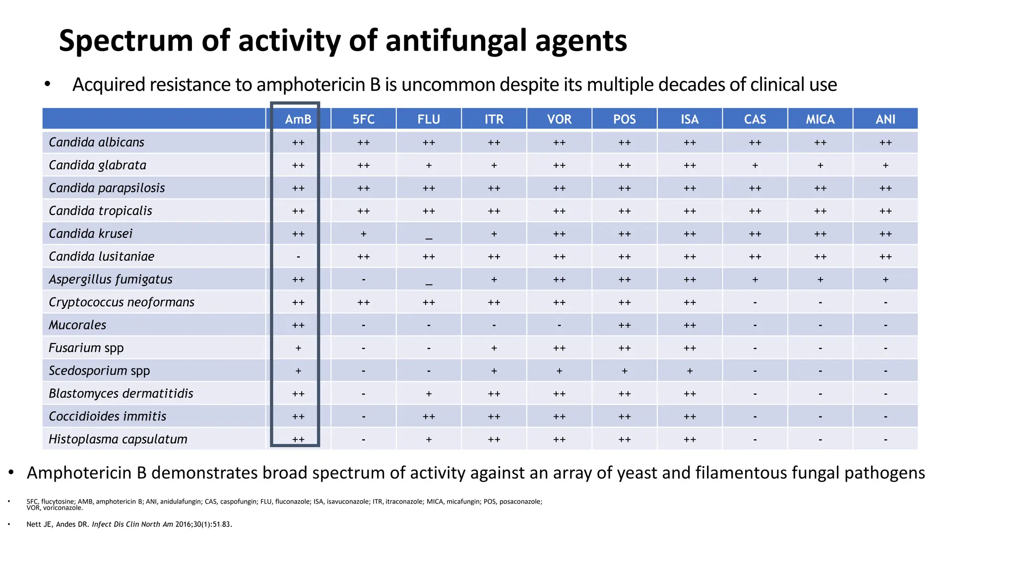 Liposomal amphotericin B in management of invasive fungal infections ...