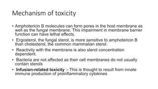Liposomal amphotericin B in management of invasive fungal infections ...