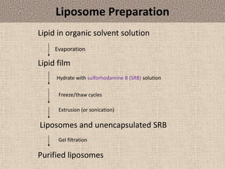 Liposome Preparation
Lipid in organic solvent solution
Evaporation
Extrusion (or sonication)
Liposomes and unencapsulated ...