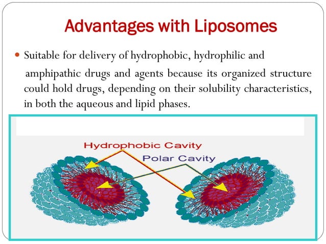 Photo inspiration: Visual Reference: Liposomes Detail Topic Explanation Notes
