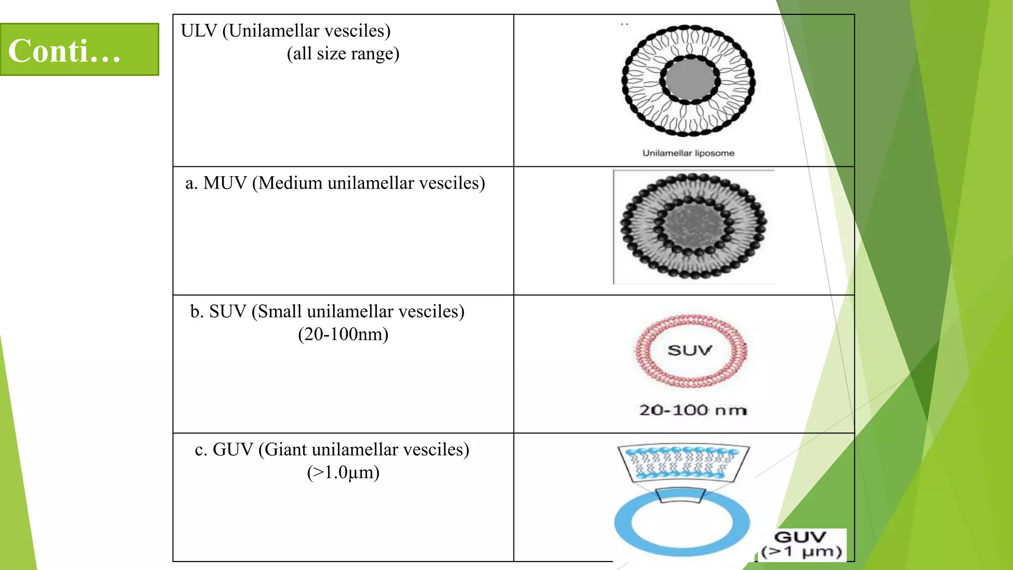 ULV (Unilamellar vesciles)
(all size range)
a. MUV (Medium unilamellar vesciles)
b. SUV (Small unilamellar vesciles)
(20-100nm)
c. GUV (Giant unilamellar vesciles)
(>1.0µm)
Conti…
 