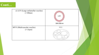 d. LUV (Large unilamellar vesciles)
(>100nm)
MVV (Multivascular vesciles)
(>1.0µm)
Conti…
 