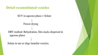 Dried reconstituted vesicles
 