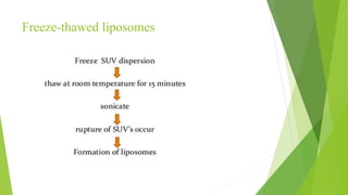 Freeze-thawed liposomes
 
