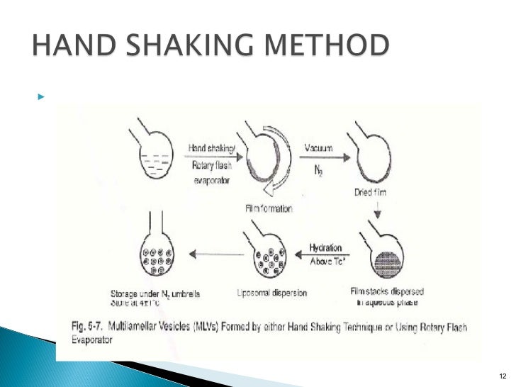 of composition 95 ethanol Liposomes of composition 95 ethanol Liposomes