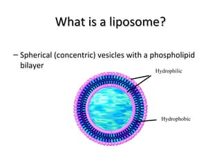 What is a liposome?What is a liposome?
– Spherical (concentric) vesicles with a phospholipid
bilayer
Hydrophilic
Hydrophobic
 