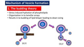 • Stress induced hydration of phospholipids
• Organization in to lamellar arrays
• Results in to budding of lipid bilayer leading to down sizing
SUV OLV
1. The budding theory
Mechanism of Vesicle Formation
 
